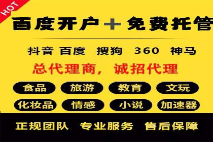 成功SEM托管代运营案例分析